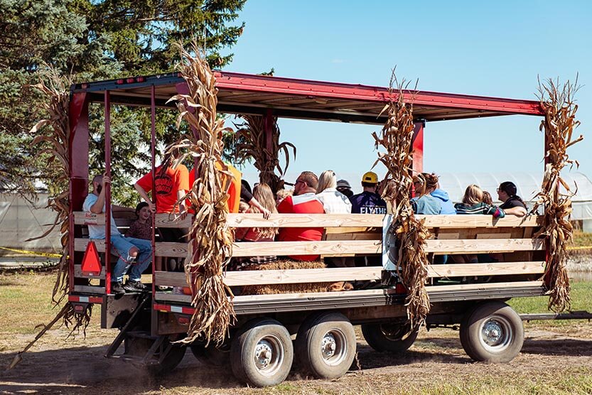 Wagon rides for the kids and family at the Pumpkin Palooza at Keil's Produce and Greenhouse.